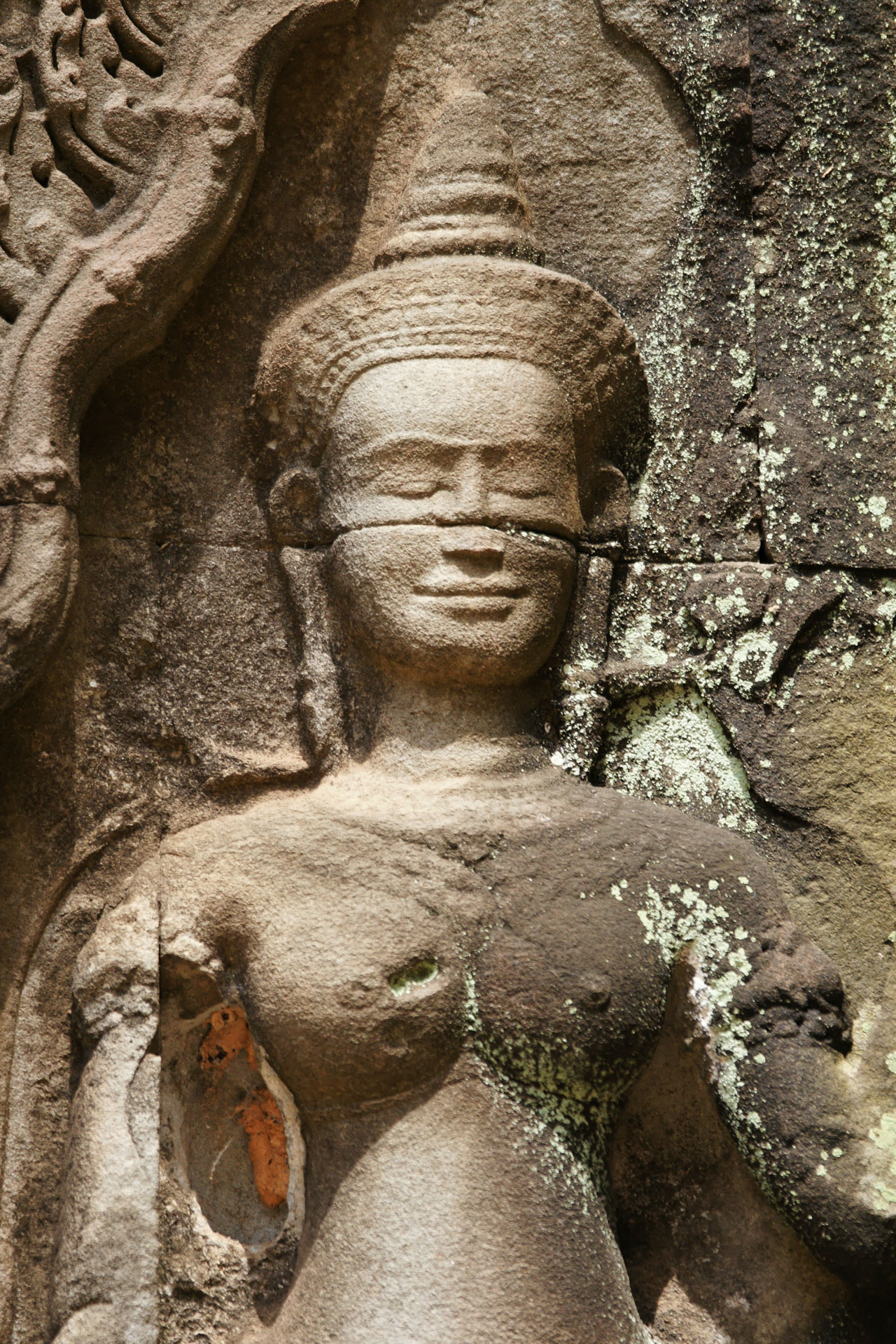 Ta Prohm ("königliches Kloster") ist ein zwischen dem späten 12. und frühen 13. Jahrhundert erbauter Tempel. Der Ta Prohm wurde während der Herrschaft des letzten großen Königs des Khmer-Reiches  erbaut, einem Anhänger des Mahayana-Buddhismus.